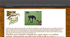 Desktop Screenshot of animalchiropractic.tc